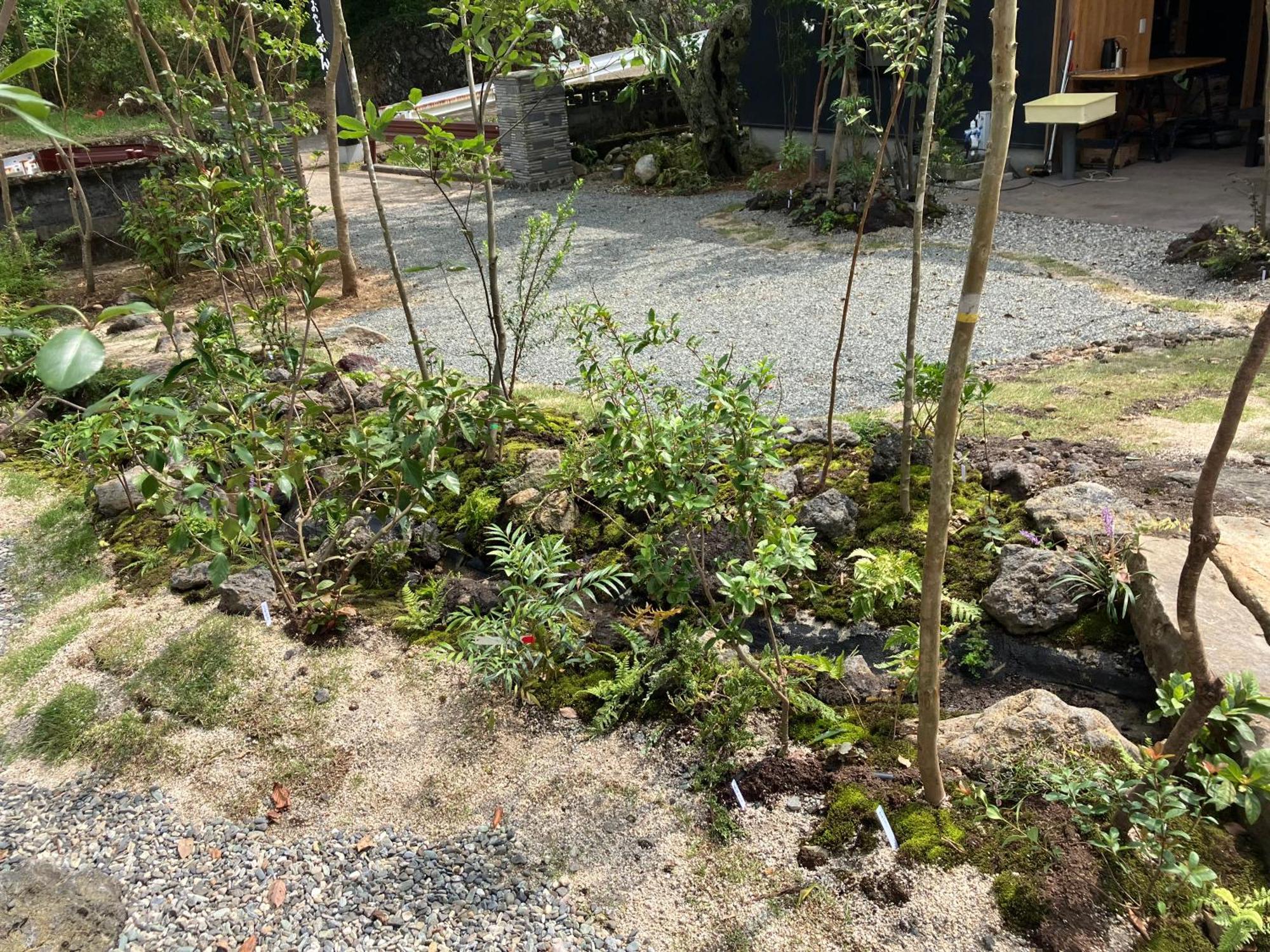お宿でん吉 Minamiaso Eksteriør billede